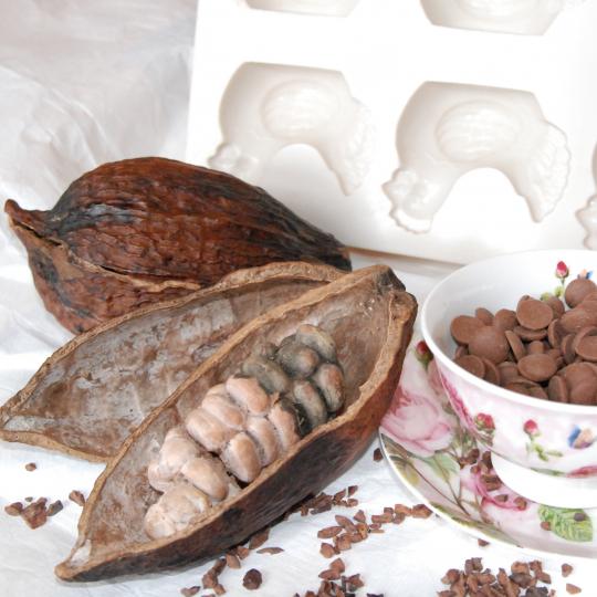 Cabosse ouverte présentant des graines de cacao.