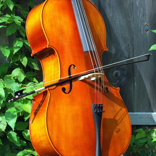 Concert -