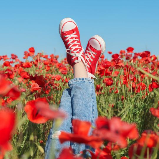 Julie Arqué - Julie Arqué champ de coquelicots