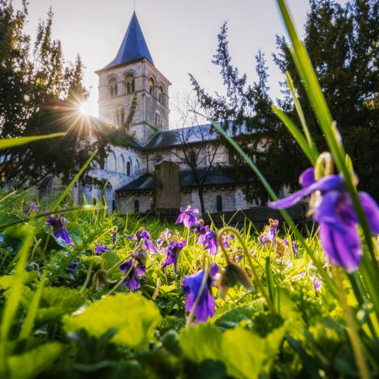 Eglise vue de cimetière romantique