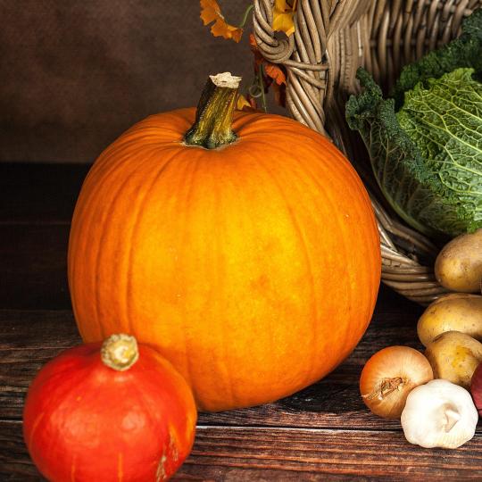 Ensemble de courges, citrouille et potirons