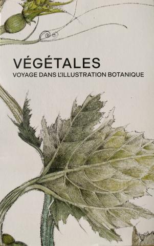 Album Végétales - Couverture de l'album représentant un pied de cucurbitacée représenté à l'aquarelle.