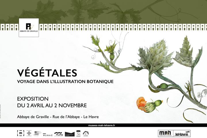 VÉGÉTALES