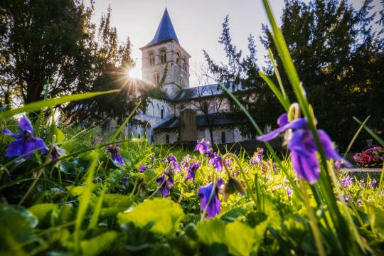 Eglise vue de cimetière romantique