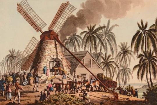 Moulin à canne à sucre - représentation d'esclaves apportant des cannes à un moulin afin qu'elle soient broyées.