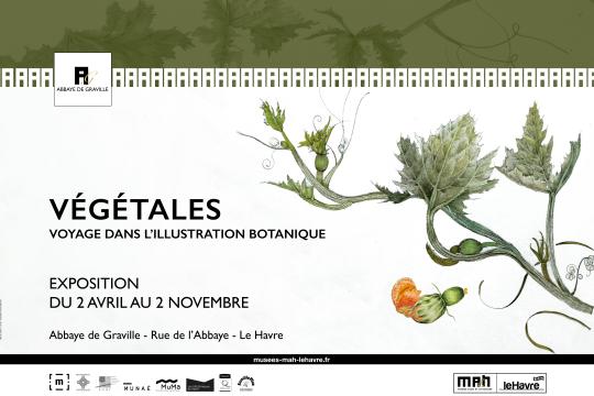 Affiche expo végétales - MAH